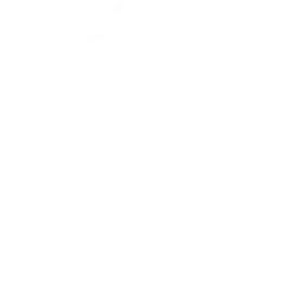 B2X