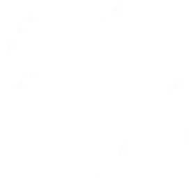 B2X