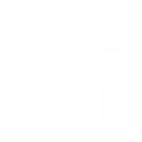 B2X
